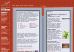 First version of the website Game&Watch