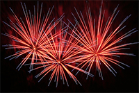 2013 Sylvester